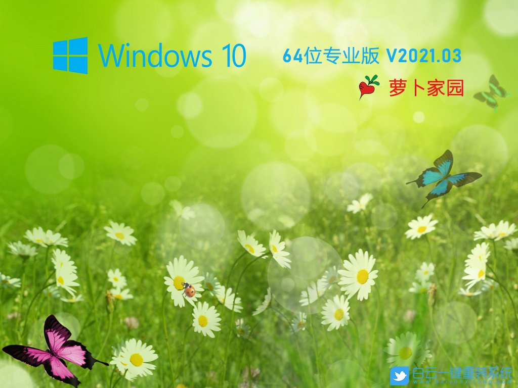 蘿卜家園 Ghost Win10 x64 純凈專業版 V2021.03 安裝圖集