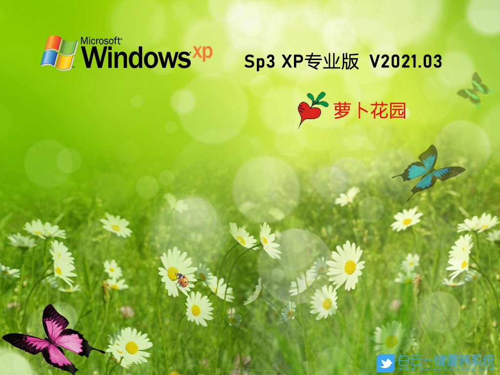 蘿卜家園 Ghost XP SP3 裝機專業版 V2021.03 界面1