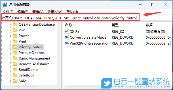 Win11,文件,復選框步驟