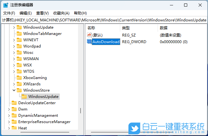 Win11,注冊表,Microsoft,Store,應(yīng)用更新步驟