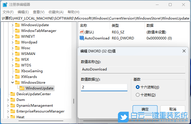 Win11,注冊表,Microsoft,Store,應(yīng)用更新步驟